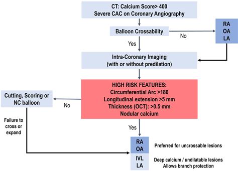 Coronary calcification management algorithm. CAC, coronary artery... | Download Scientific Diagram