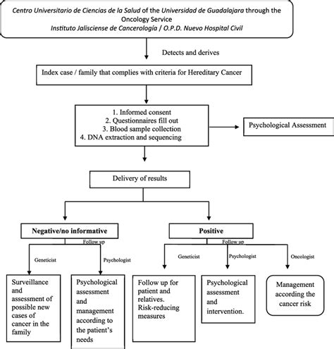 Cancer Genetic Counseling Professionals Interaction Download