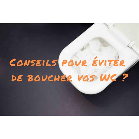 Conseils Pour Viter De Boucher Vos Wc Pr Vention Et Solutions