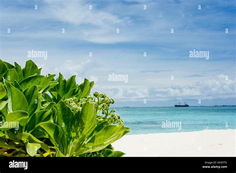Feydhoo Finolhu Maldives Stock Photo - Alamy