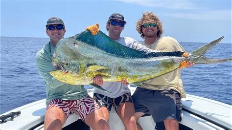 Giant Bull Mahi One Of The Biggest In Nc History Youtube