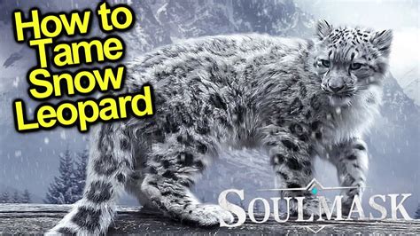 How To Tame Snow Leopard Guide Soulmask Youtube