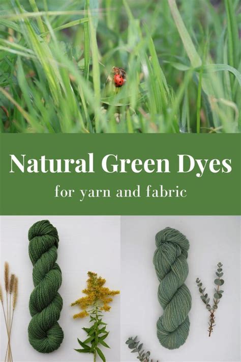 Natural Green Dyes For Yarn And Fabric Rosemary And Pines Fiber Arts