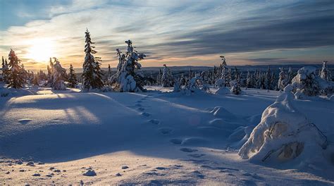 Invierno Nieve Rastros Comi Noruega Fondo De Pantalla Hd