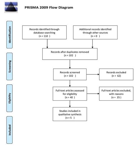 Prisma Flow Chart Explained