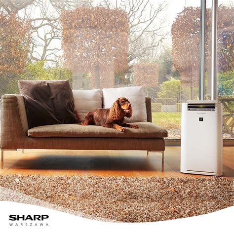 SHARP KC-G60EU-W | SHARP