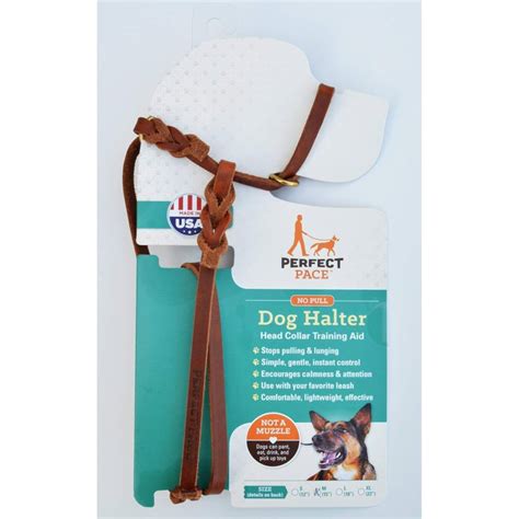 9 Best Dog Head Halters And Gentle Leaders 2024 Reviews And Top Picks