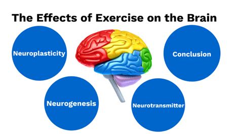 The Effects Of Exercise On The Brain By Jacqueline Segura On Prezi