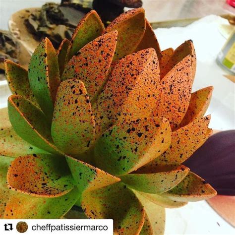 An Orange And Green Plant Sitting On Top Of A White Table Next To Other