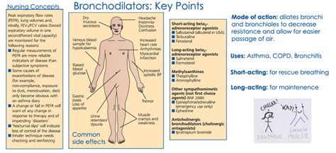 Bronchodilators: uses, side effects, nursing considerations, types. | Respiratory therapy notes ...