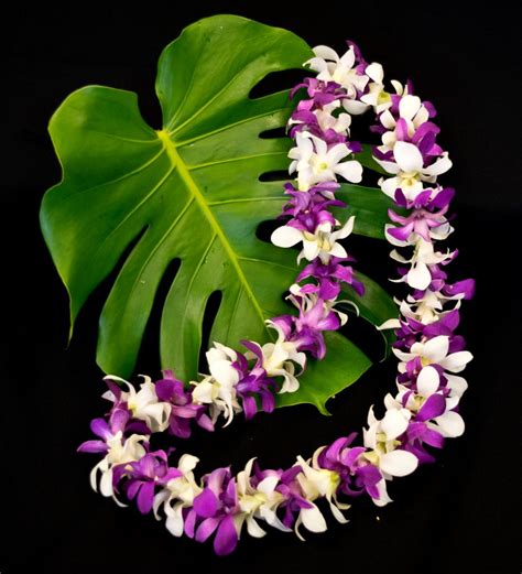 Single Strung Dendrobium Orchid Lei - Gecko Farms Hawaii Leis & Fresh ...