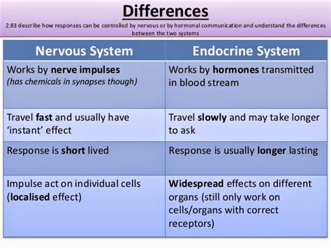 Difference Between Nervous System And Endocrine System Pregnant