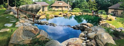 Ditch The Chlorine And Install A Natural Swimming Pool