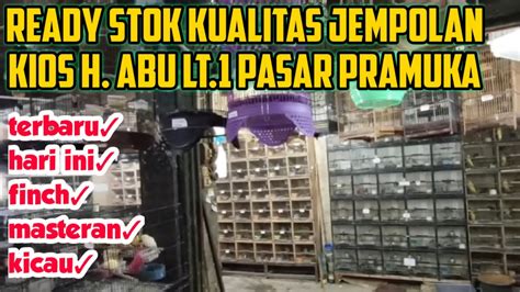 Grebek Exclusive Hargabongkar Hari Ini Kios H Abu Pasar Burung