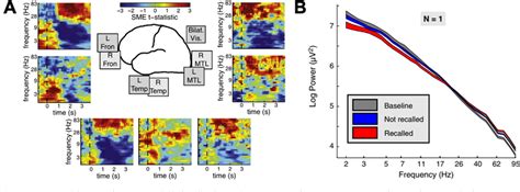 Figure 1 From Neurophysiological Mechanisms Of Cognition In The