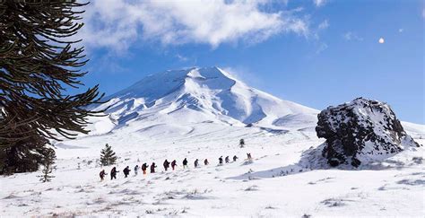 Los Volcanes De Malalcahuello 2 Senderos Para Maravillarse Con Sus