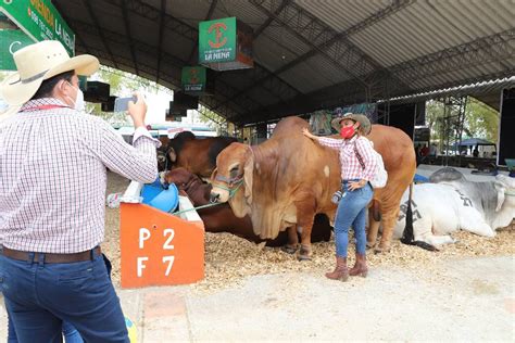 Calles Del Barrio Garay Se Llenaron De Civismo Y Alegr A Con Desfile De