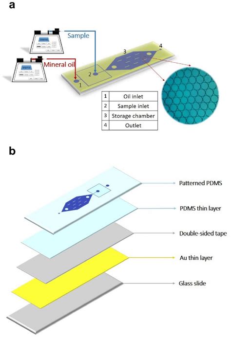 A Layout Of The Manufactured Microfluidic Chip For Droplet Generation