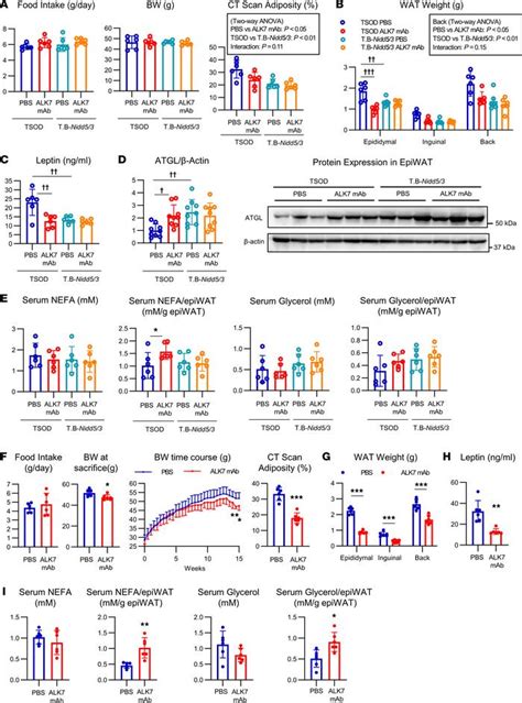 Jci Insight Targeting Activin Receptorlike Kinase Ameliorates