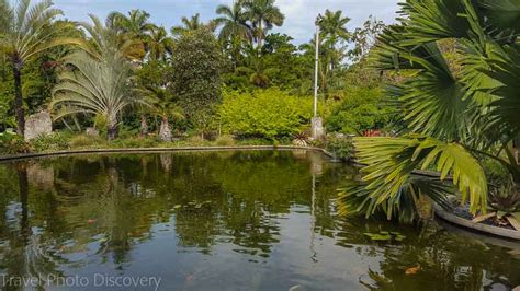 Visiting Miami - Miami Beach Botanical Garden