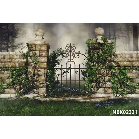 Laeacco Old House Window Scenery Green Trees Vine Vintage Grunge Baby