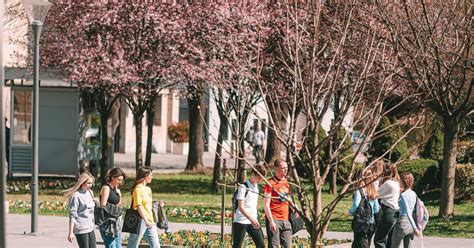 Raspisan Konkurs Za Dodjelu Stipendija Za Banjalu Ke Srednjo Kolce