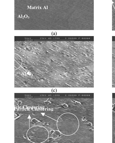 Sem Micrograph Of Aluminium Metal Matrix Composite Reinforced With