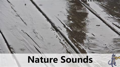 Nature Sounds: Rain Sounds & Relaxing Music - YouTube