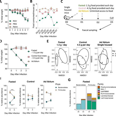 Reduced Food Consumption Alters The Composition Of The Gut Microbiota