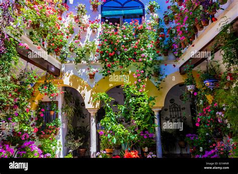 Festa Dei Cortili Di Cordoba La Fiesta De Los Patios De C Rdoba