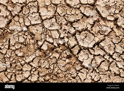 Soil Structure Hi Res Stock Photography And Images Alamy