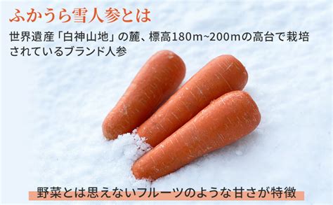 【楽天市場】【ふるさと納税】ふかうら雪人参ケーキ 1個 お菓子 焼き菓子 スイーツ 洋菓子 おやつ ティータイム 野菜ケーキ キャロットケーキ