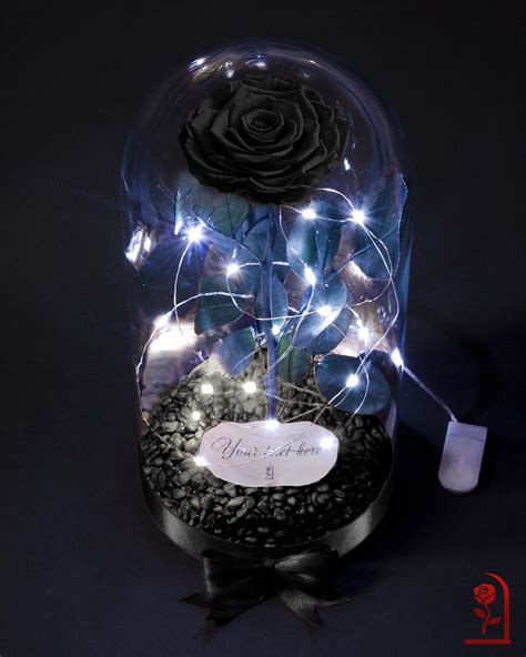 Черна Естествена Вечна Роза в Голяма Стъкленица • The First Rose