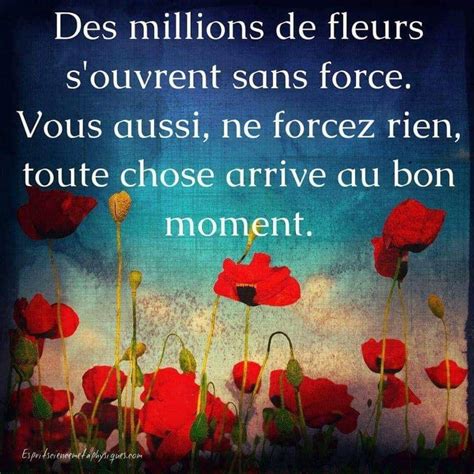 Des Millions De Fleurs S Ouvrent Sans Forcer Vous Aussi Ne Forcez