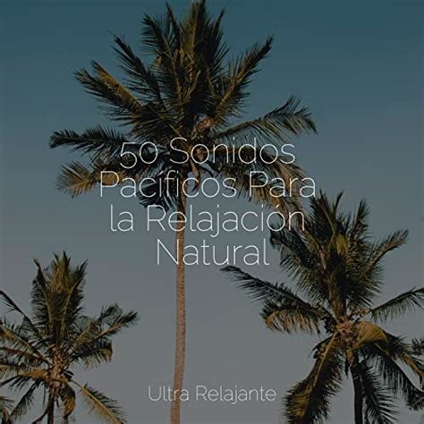 50 Sonidos Pacíficos Para La Relajación Natural Meditação