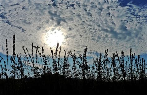 Nubes Contraluz Pastos Estado Foto Gratis En Pixabay Pixabay