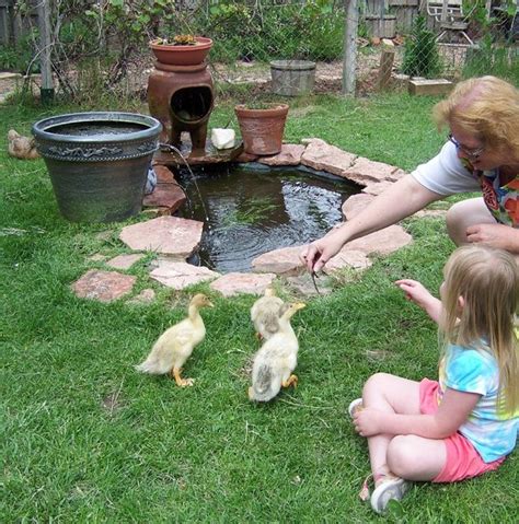 Tiny Duck Pond With Filter Fountain Protractedgarden Backyard Ducks