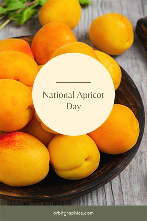 Happy National Apricot Day | National days, Food, Apricot