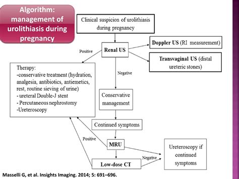 Ppt Precision In Urolithiasis Management Advances Recommendations