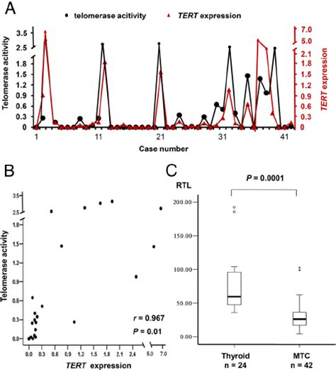 Correlation Between Tert Mrna Expression And Telomerase Activity A