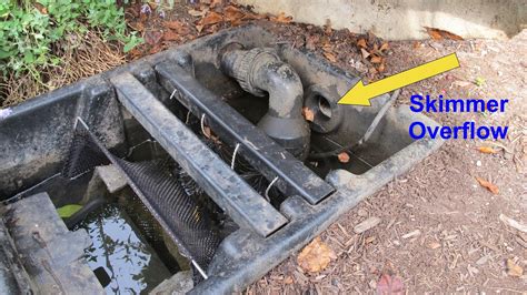 How To Properly Check The Water Level In Your Pond