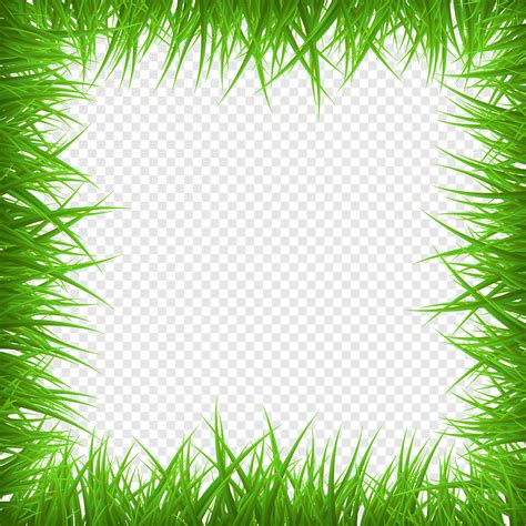 Grass Frame Background Png Pngegg