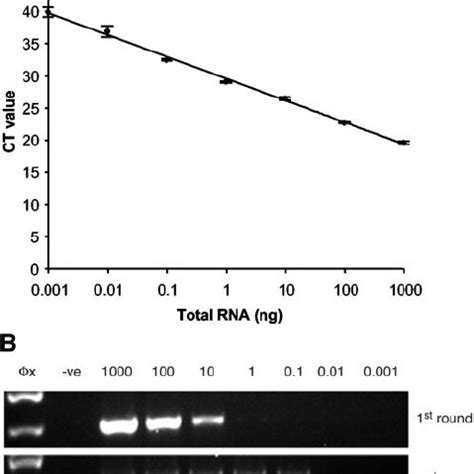 Comparison Of Single Tube Taqman Rt Pcr Assay For Rabies Virus