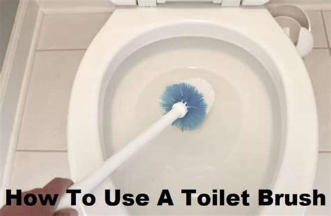 How To Use A Toilet Brush Tips And Tricks Bestultrareviews