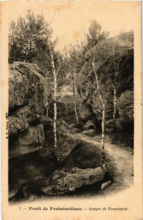 Foret de Fontainebleau Gorges de Franchard à Fontainebleau Cartorum