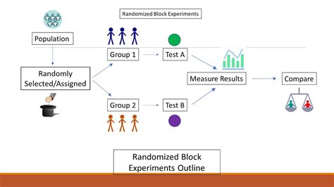 Diagram A Completely Randomized Design For This Experiment S