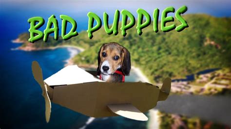 Bad Puppies A Parody Of Bad Piggies Youtube