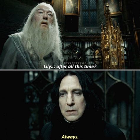 Dumbledore And Snape