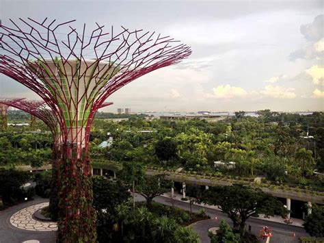 Walking Along The Ocbc Skyway Suspended Amongst Supertree Grove A