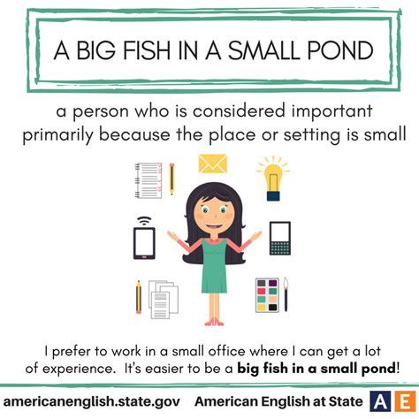 Expression: A big fish in a small pond | Idioms and phrases, English vocabulary words learning ...